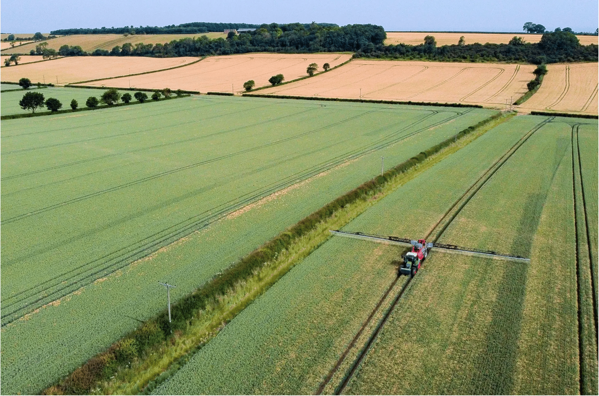 Agriculture